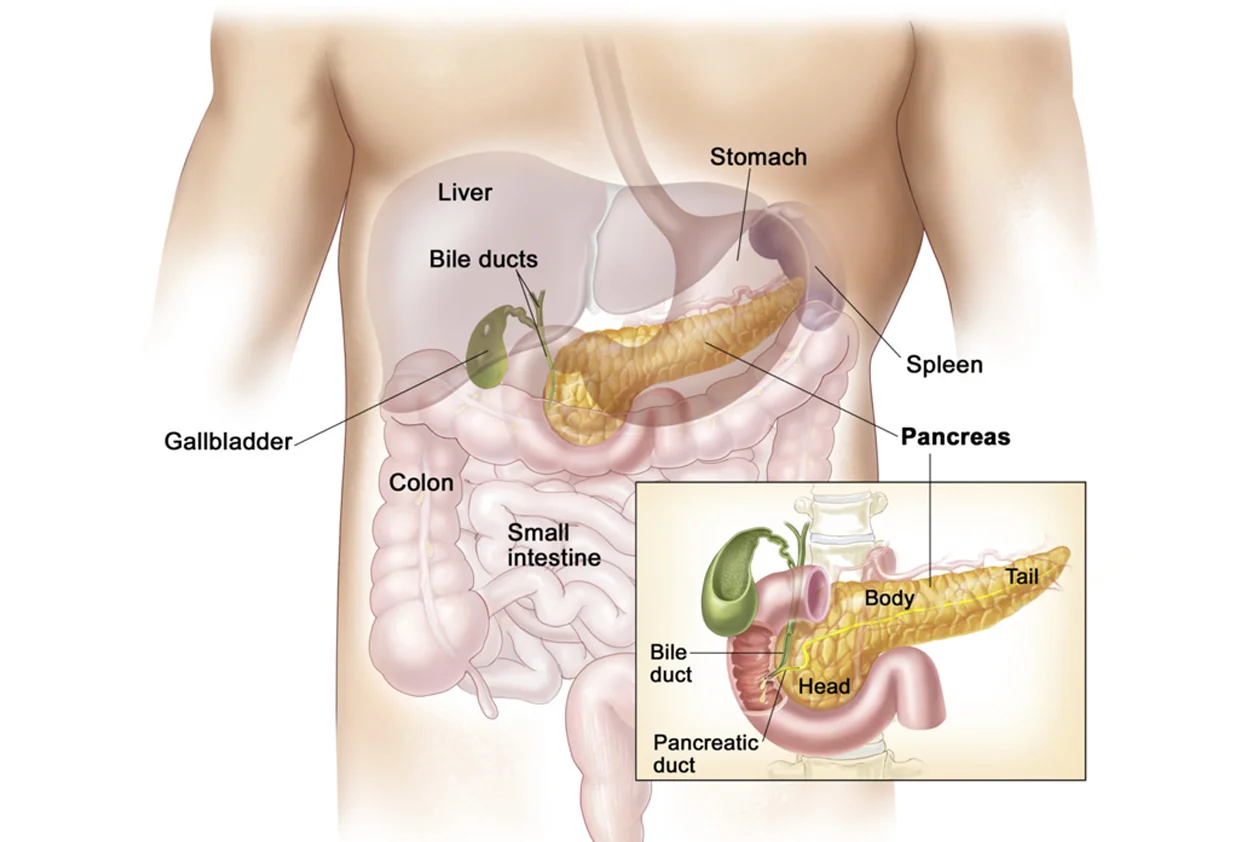 Pancreas Disease